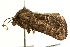  ( - UKLB2H03)  @11 [ ] CreativeCommons - Attribution (2009) Unspecified Centre for Biodiversity Genomics