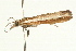  ( - UKLB2H11)  @13 [ ] CreativeCommons - Attribution (2009) Unspecified Centre for Biodiversity Genomics