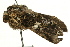  ( - UKLB4C06)  @13 [ ] CreativeCommons - Attribution (2009) Unspecified Centre for Biodiversity Genomics