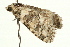  ( - UKLB4D01)  @13 [ ] CreativeCommons - Attribution (2009) Unspecified Centre for Biodiversity Genomics