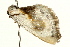  ( - UKLB4E04)  @13 [ ] CreativeCommons - Attribution (2009) Unspecified Centre for Biodiversity Genomics