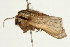  ( - UKLB4F05)  @13 [ ] CreativeCommons - Attribution (2009) Unspecified Centre for Biodiversity Genomics