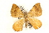  ( - UKLB4F10)  @13 [ ] CreativeCommons - Attribution (2009) Unspecified Centre for Biodiversity Genomics