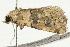  ( - UKLB6A05)  @13 [ ] CreativeCommons - Attribution (2009) Unspecified Centre for Biodiversity Genomics