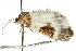  ( - UKLB6A06)  @12 [ ] CreativeCommons - Attribution (2009) Unspecified Centre for Biodiversity Genomics