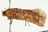  ( - UKLB6B01)  @12 [ ] CreativeCommons - Attribution (2009) Unspecified Centre for Biodiversity Genomics