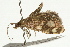 ( - UKLB6B04)  @12 [ ] CreativeCommons - Attribution (2009) Unspecified Centre for Biodiversity Genomics
