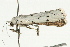  ( - UKLB6B05)  @11 [ ] CreativeCommons - Attribution (2009) Unspecified Centre for Biodiversity Genomics