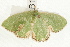  ( - UKLB6B10)  @13 [ ] CreativeCommons - Attribution (2009) Unspecified Centre for Biodiversity Genomics