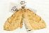  ( - UKLB6D10)  @13 [ ] CreativeCommons - Attribution (2009) Unspecified Centre for Biodiversity Genomics