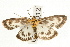  ( - UKLB6D12)  @13 [ ] CreativeCommons - Attribution (2009) Unspecified Centre for Biodiversity Genomics
