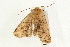  ( - UKLB6G09)  @13 [ ] CreativeCommons - Attribution (2009) Unspecified Centre for Biodiversity Genomics