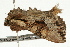  ( - UKLB6H06)  @11 [ ] CreativeCommons - Attribution (2009) Unspecified Centre for Biodiversity Genomics
