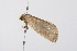  ( - UKLB3A04)  @12 [ ] CreativeCommons - Attribution (2009) Unspecified Centre for Biodiversity Genomics