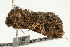  ( - UKLB8A08)  @11 [ ] CreativeCommons - Attribution (2009) Unspecified Centre for Biodiversity Genomics