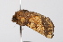  ( - UKLB3B01)  @11 [ ] CreativeCommons - Attribution (2009) Unspecified Centre for Biodiversity Genomics
