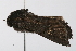  ( - UKLB3B11)  @11 [ ] CreativeCommons - Attribution (2009) Unspecified Centre for Biodiversity Genomics