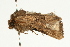  ( - UKLB8E09)  @11 [ ] CreativeCommons - Attribution (2009) Unspecified Centre for Biodiversity Genomics