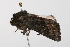  ( - UKLB3E10)  @11 [ ] CreativeCommons - Attribution (2009) Unspecified Centre for Biodiversity Genomics