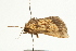  ( - UKLB8H03)  @11 [ ] CreativeCommons - Attribution (2009) Unspecified Centre for Biodiversity Genomics