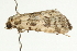  ( - UKLB8H09)  @13 [ ] CreativeCommons - Attribution (2009) Unspecified Centre for Biodiversity Genomics