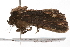 ( - UKLB5H09)  @13 [ ] CreativeCommons - Attribution (2009) Unspecified Centre for Biodiversity Genomics