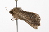  ( - UKLB10F01)  @13 [ ] CreativeCommons - Attribution (2009) Unspecified Centre for Biodiversity Genomics