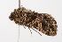  ( - UKLB10H03)  @11 [ ] CreativeCommons - Attribution (2009) Unspecified Centre for Biodiversity Genomics