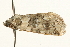  ( - UKLB9A02)  @13 [ ] CreativeCommons - Attribution (2009) Unspecified Centre for Biodiversity Genomics