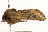  ( - UKLB9A03)  @11 [ ] CreativeCommons - Attribution (2009) Unspecified Centre for Biodiversity Genomics