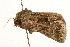  ( - UKLB9A05)  @11 [ ] CreativeCommons - Attribution (2009) Unspecified Centre for Biodiversity Genomics