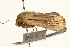  ( - UKLB9F09)  @12 [ ] CreativeCommons - Attribution (2009) Unspecified Centre for Biodiversity Genomics