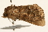  ( - UKLB9G03)  @11 [ ] CreativeCommons - Attribution (2009) Unspecified Centre for Biodiversity Genomics