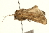  ( - UKLB9G05)  @12 [ ] CreativeCommons - Attribution (2009) Unspecified Centre for Biodiversity Genomics