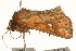  ( - UKLB9H06.fail1)  @11 [ ] CreativeCommons - Attribution (2009) Unspecified Centre for Biodiversity Genomics