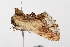  ( - UKLB3G03)  @13 [ ] CreativeCommons - Attribution (2010) Unspecified Centre for Biodiversity Genomics