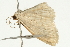  ( - UKLB8C10)  @12 [ ] CreativeCommons - Attribution (2010) Unspecified Centre for Biodiversity Genomics