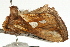  ( - UKLB21C07)  @12 [ ] CreativeCommons - Attribution (2009) Unspecified Centre for Biodiversity Genomics