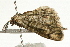  ( - UKLB21E11)  @11 [ ] CreativeCommons - Attribution (2009) Unspecified Centre for Biodiversity Genomics