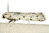  ( - UKLB21H08)  @11 [ ] CreativeCommons - Attribution (2009) Unspecified Centre for Biodiversity Genomics