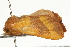  ( - UKLB20F07)  @13 [ ] CreativeCommons - Attribution (2009) Unspecified Centre for Biodiversity Genomics