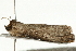  ( - UKLB20G05)  @12 [ ] CreativeCommons - Attribution (2009) Unspecified Centre for Biodiversity Genomics