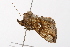  ( - UKLB12B04)  @12 [ ] CreativeCommons - Attribution (2009) Unspecified Centre for Biodiversity Genomics