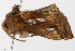  ( - UKLB12B11)  @12 [ ] CreativeCommons - Attribution (2009) Unspecified Centre for Biodiversity Genomics