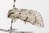  ( - UKLB12D07)  @13 [ ] CreativeCommons - Attribution (2009) Unspecified Centre for Biodiversity Genomics