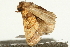 ( - UKLB11F07)  @11 [ ] CreativeCommons - Attribution (2009) Unspecified Centre for Biodiversity Genomics