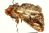  ( - UKLB11F11)  @12 [ ] CreativeCommons - Attribution (2009) Unspecified Centre for Biodiversity Genomics