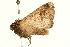  ( - UKLB11H01)  @14 [ ] CreativeCommons - Attribution (2009) Unspecified Centre for Biodiversity Genomics