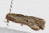  ( - UKLB12F06)  @13 [ ] CreativeCommons - Attribution (2009) Unspecified Centre for Biodiversity Genomics