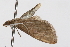  ( - UKLB12F09)  @11 [ ] CreativeCommons - Attribution (2009) Unspecified Centre for Biodiversity Genomics